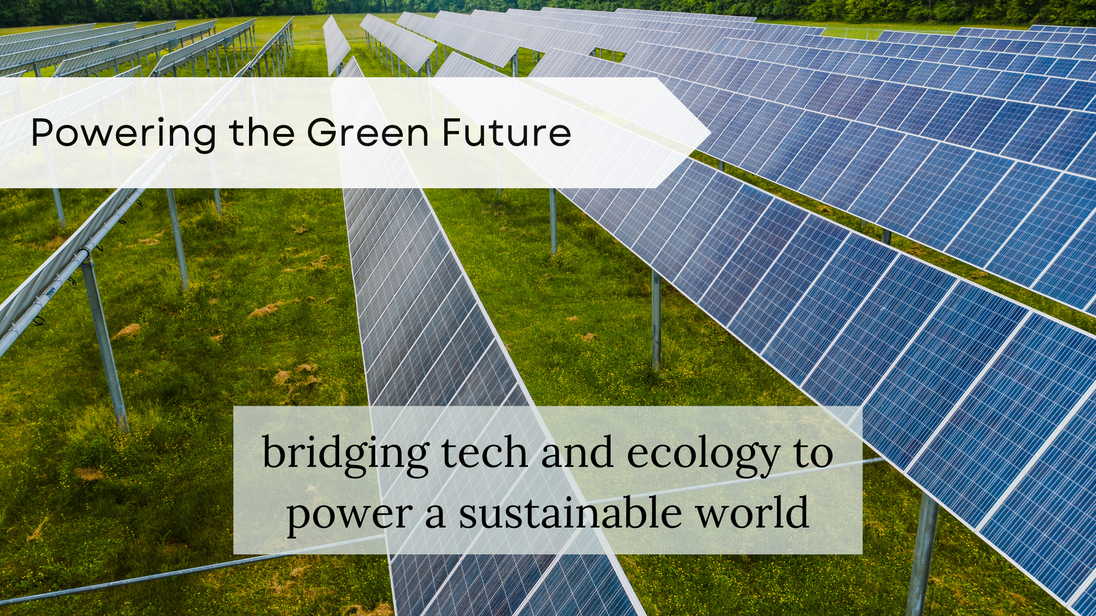 Eco-Tech Freelancing